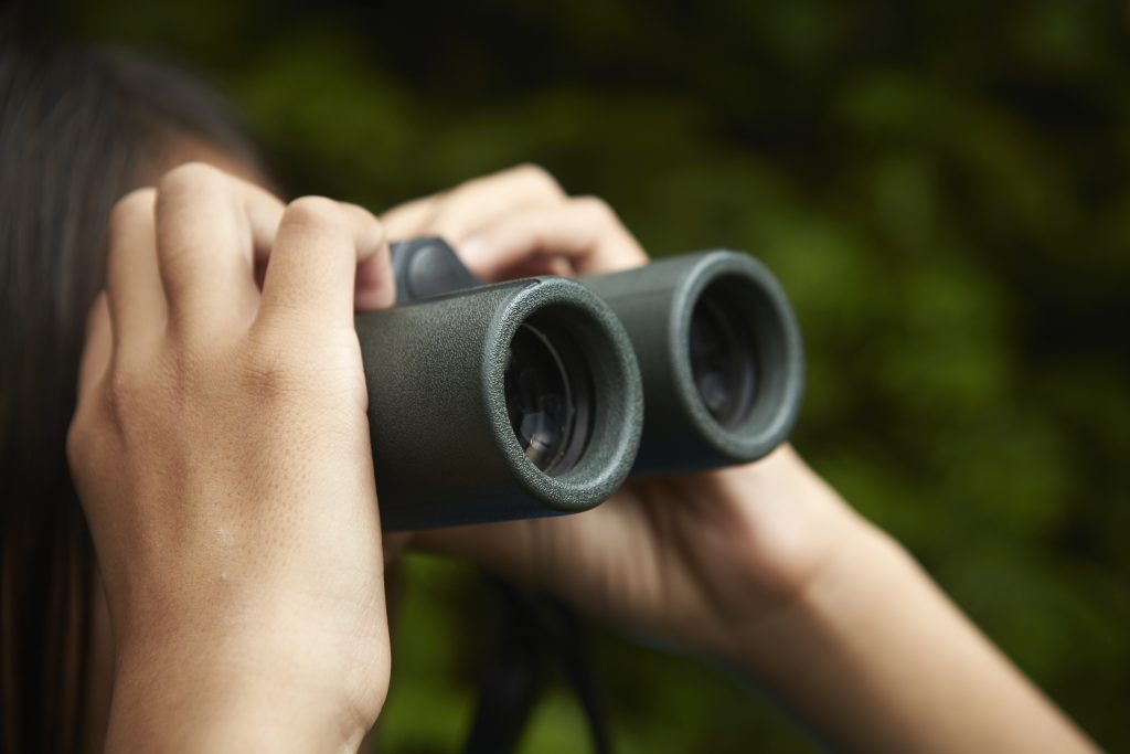 bird watching with binoculars in mexico