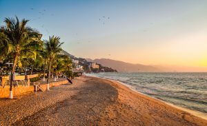 puerto vallarta mexico sunset with palms trees and beach
