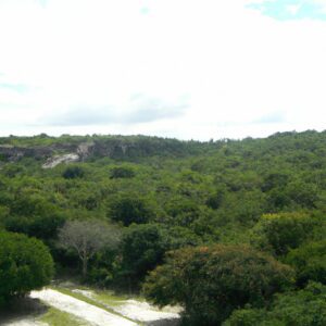 mexico landscape