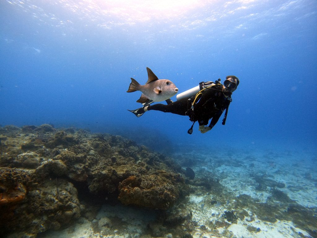 scuba diver with fish mexico